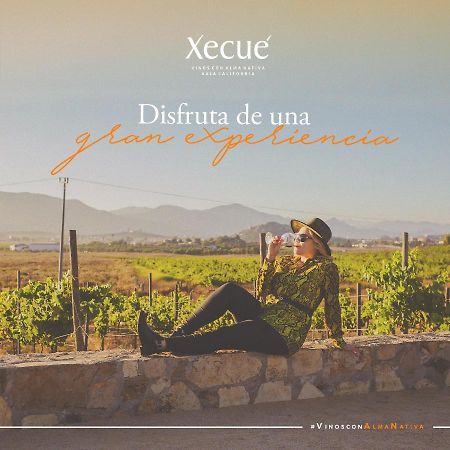 Hotel Vinos Xecué Ensenada Esterno foto